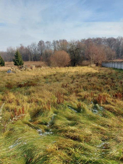 Działka budowlana - Chruszczobród   -
Śląskie Zdjęcie nr 3