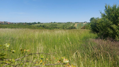Działka budowlana - Sadowie   -
Śląskie Zdjęcie nr 2