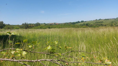 Działka budowlana - Sadowie   -
Śląskie Zdjęcie nr 3