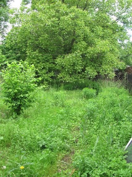 Działka budowlana - Będzin Łagisza  -
Śląskie Zdjęcie nr 1