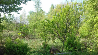 Działka budowlana - Siemonia   - Śląskie
