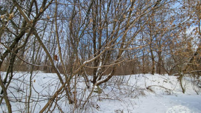 Działka inwestycyjna - Będzin Grodziec  -
Śląskie Zdjęcie nr 2