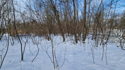 Działka inwestycyjna - Będzin Grodziec  -
Śląskie Zdjęcie nr 3
