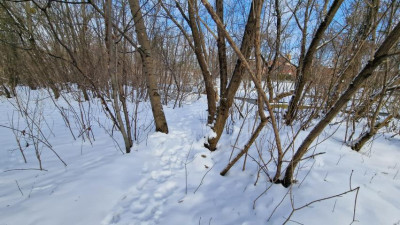 Działka inwestycyjna - Będzin Grodziec  -
Śląskie Zdjęcie nr 5