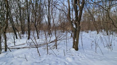 Działka inwestycyjna - Będzin Grodziec  -
Śląskie Zdjęcie nr 6