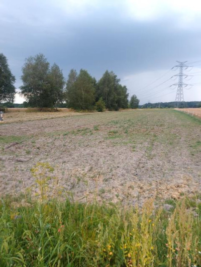 Działka rolno-budowlana - Warężyn   - Śląskie