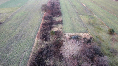 Działka rolno-budowlana - Wojkowice Kościelne   -
Śląskie Zdjęcie nr 5
