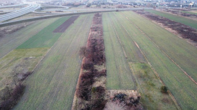 Działka rolno-budowlana - Wojkowice Kościelne   -
Śląskie Zdjęcie nr 9