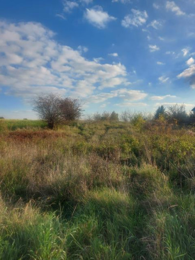 Działka budowlana - Góra Siewierska   - Śląskie