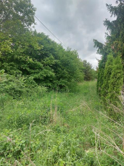 Działka budowlana - Niegowoniczki   -
Śląskie Zdjęcie nr 2