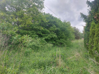 Działka budowlana - Niegowoniczki   -
Śląskie Zdjęcie nr 3