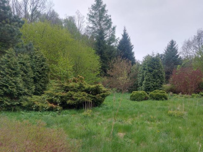 Działka budowlana - Ciągowice   -
Śląskie Zdjęcie nr 3