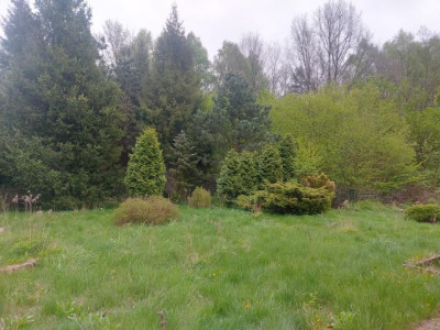Działka budowlana - Ciągowice   -
Śląskie Zdjęcie nr 4
