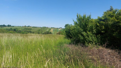 Działka budowlana - Sadowie   -
Śląskie Zdjęcie nr 3