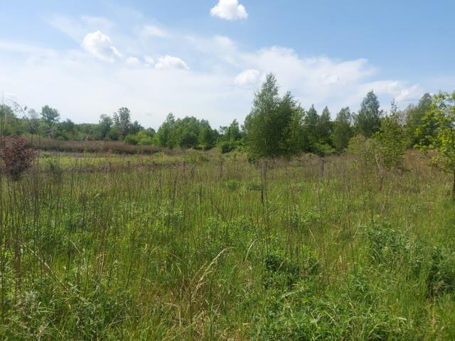 Działka budowlana - Porąbka  -
Śląskie Zdjęcie nr 1
