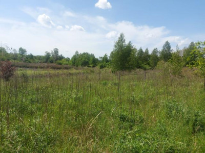 Działka budowlana - Porąbka  -
Śląskie
