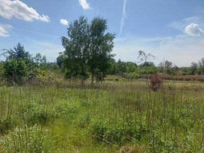 Działka budowlana - Porąbka  -
Śląskie Zdjęcie nr 2