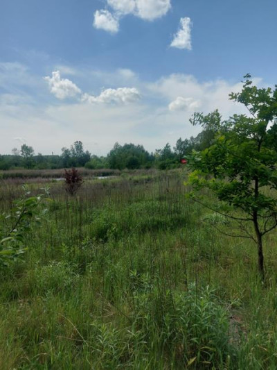 Działka budowlana - Porąbka  -
Śląskie Zdjęcie nr 4