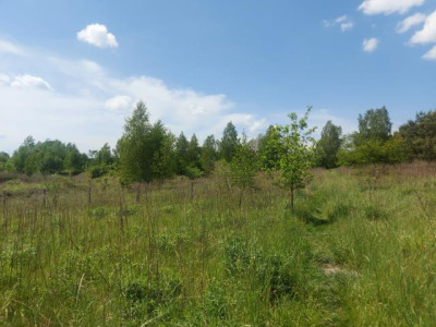 Działka budowlana - Porąbka  -
Śląskie Zdjęcie nr 5