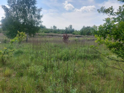 Działka budowlana - Porąbka  -
Śląskie Zdjęcie nr 6