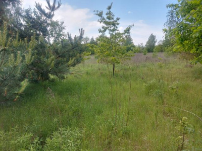 Działka budowlana - Porąbka  -
Śląskie Zdjęcie nr 8