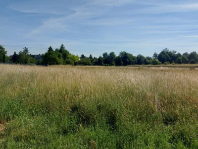 Działka budowlana - Siemonia   -
Śląskie Zdjęcie nr 4