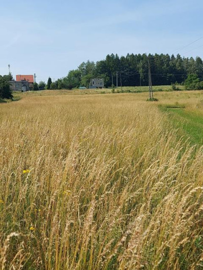 Działka budowlana - Siemonia   -
Śląskie Zdjęcie nr 5