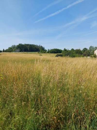 Działka budowlana - Siemonia   -
Śląskie Zdjęcie nr 6