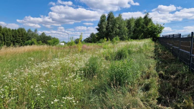 Działka budowlana - Dąbie   -
Śląskie Zdjęcie nr 10