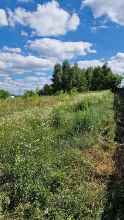 Działka budowlana - Dąbie   -
Śląskie Zdjęcie nr 8