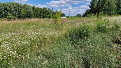 Działka budowlana - Dąbie   -
Śląskie Zdjęcie nr 9