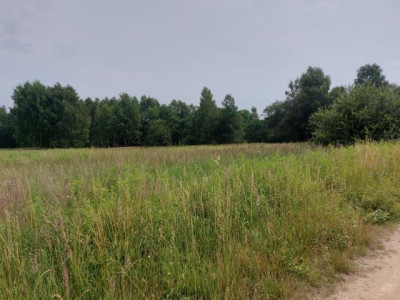Działka budowlana - Ożarowice   -
Śląskie Zdjęcie nr 3