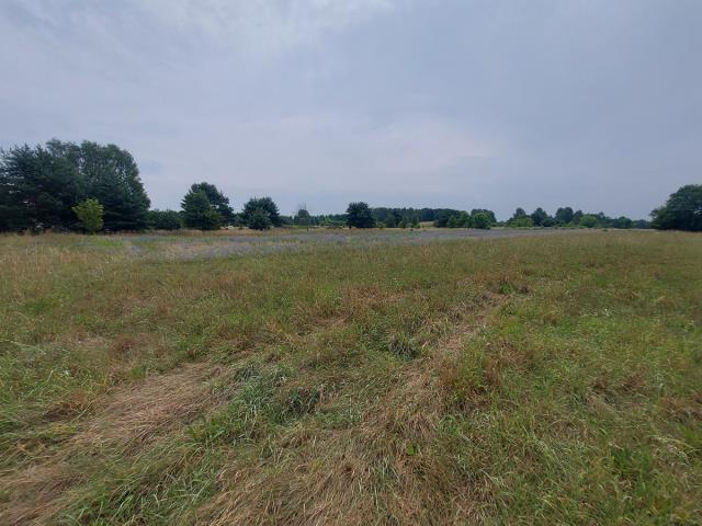 Działka budowlana - Ożarowice   -
Śląskie Zdjęcie nr 1