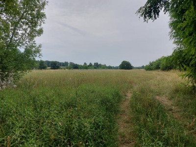Działka budowlana - Ożarowice   -
Śląskie Zdjęcie nr 2