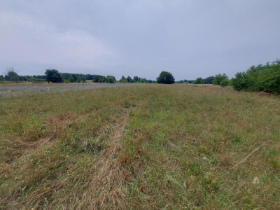 Działka budowlana - Ożarowice   -
Śląskie Zdjęcie nr 4