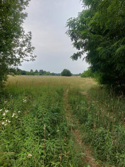 Działka budowlana - Ożarowice   -
Śląskie Zdjęcie nr 5