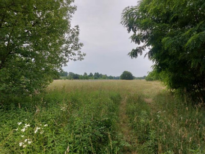 Działka budowlana - Ożarowice   -
Śląskie Zdjęcie nr 6