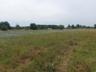 Działka budowlana - Ożarowice   -
Śląskie Zdjęcie nr 7