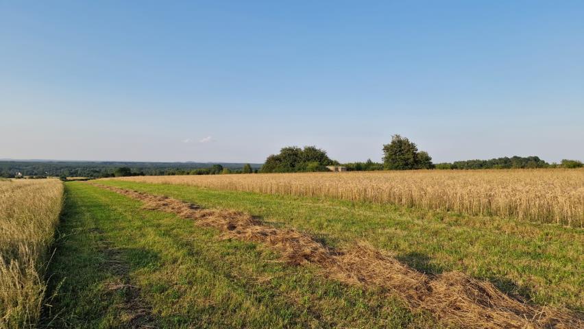 Działka budowlana - Zawada   -
Śląskie Zdjęcie nr 1