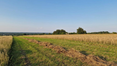 Działka budowlana - Zawada   - Śląskie