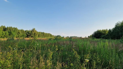 Działka budowlana - Zawada   -
Śląskie Zdjęcie nr 2