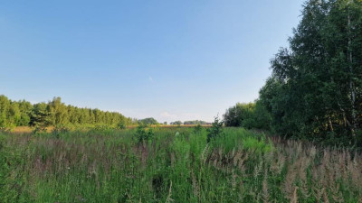 Działka budowlana - Zawada   -
Śląskie Zdjęcie nr 3