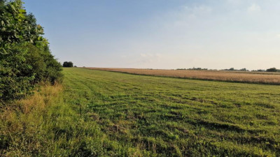 Działka budowlana - Zawada   -
Śląskie Zdjęcie nr 5