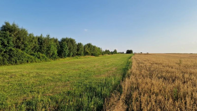 Działka budowlana - Zawada   -
Śląskie Zdjęcie nr 6