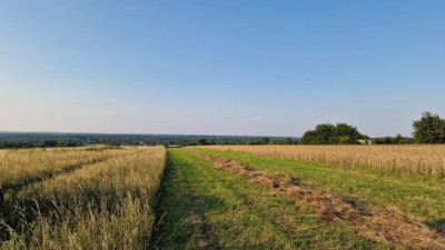 Działka budowlana - Zawada   -
Śląskie Zdjęcie nr 7