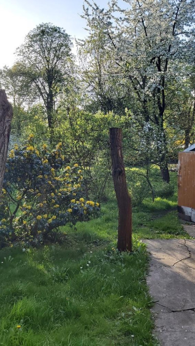 Działka budowlana - Wojkowice   -
Śląskie Zdjęcie nr 11
