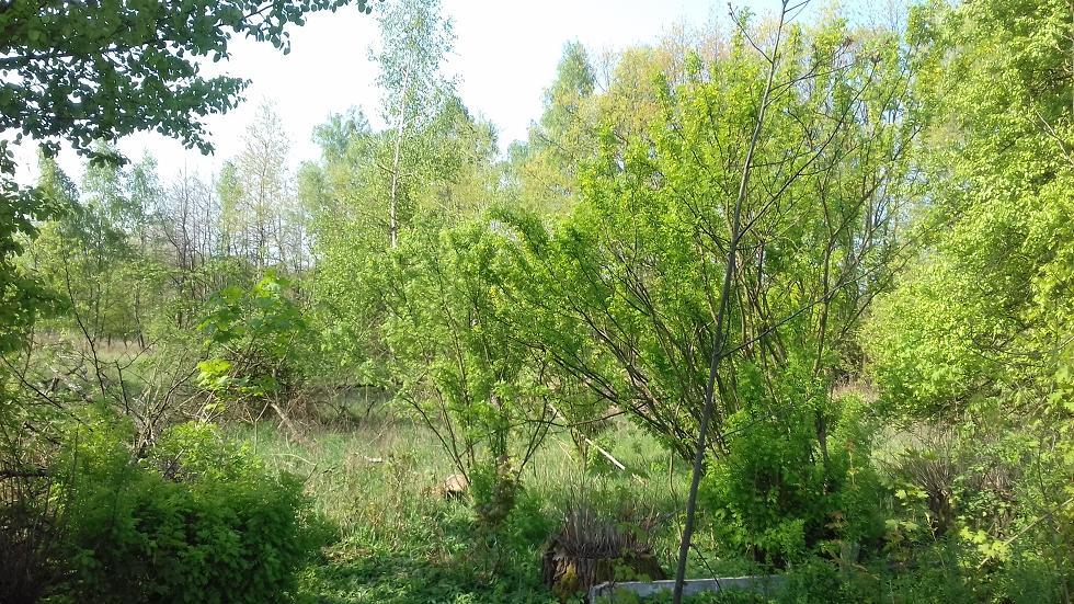Działka budowlana - Siemonia   -
Śląskie Zdjęcie nr 1