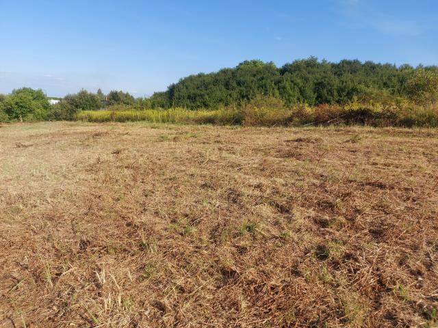Działka budowlana - Sarnów   -
Śląskie Zdjęcie nr 1