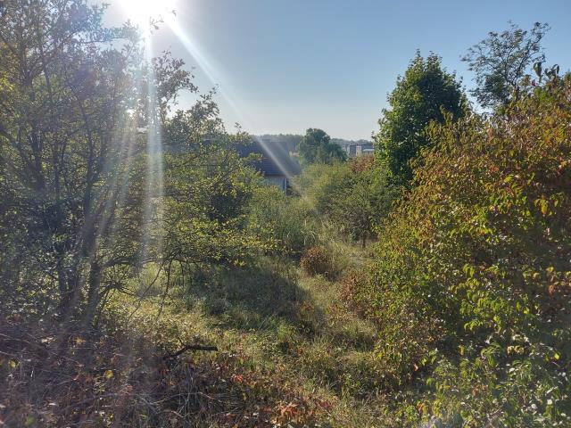 Działka budowlana - Twardowice   -
Śląskie Zdjęcie nr 1