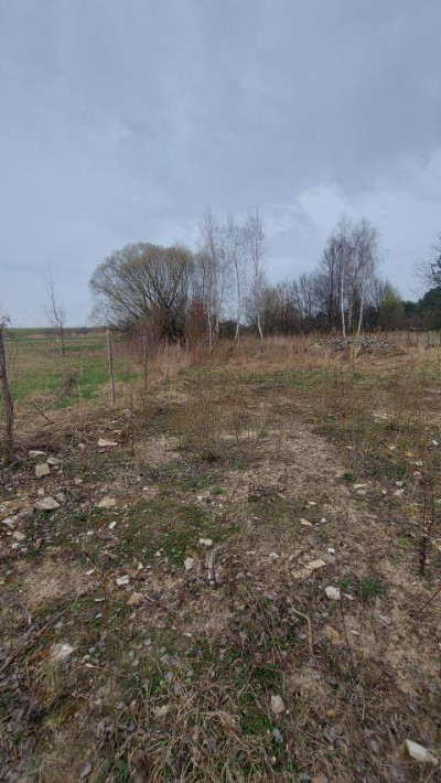 Działka budowlana - Tąpkowice   -
Śląskie Zdjęcie nr 4